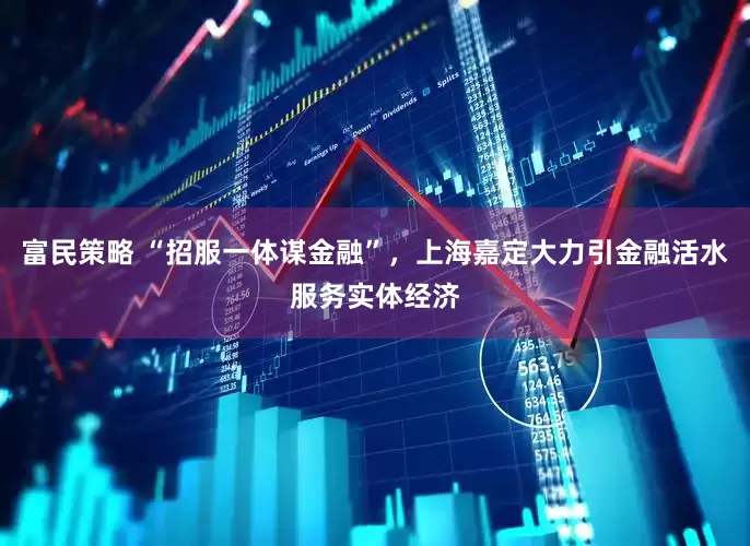 富民策略 “招服一体谋金融”，上海嘉定大力引金融活水服务实体经济